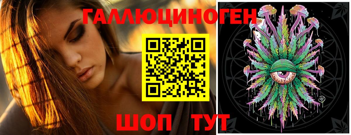 Псилоцибиновые грибы Psilocybe  Вход с VPN  Псилоцибиновые грибы прущие грибы  Семёнов 