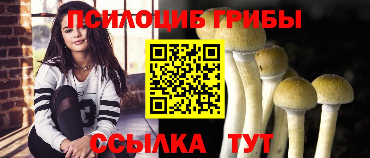 Галлюциногенные грибы мухоморы Семёнов